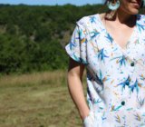 Blue macaw and eclipse – Blog