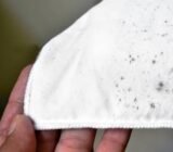 How to clean mold from fabrics?