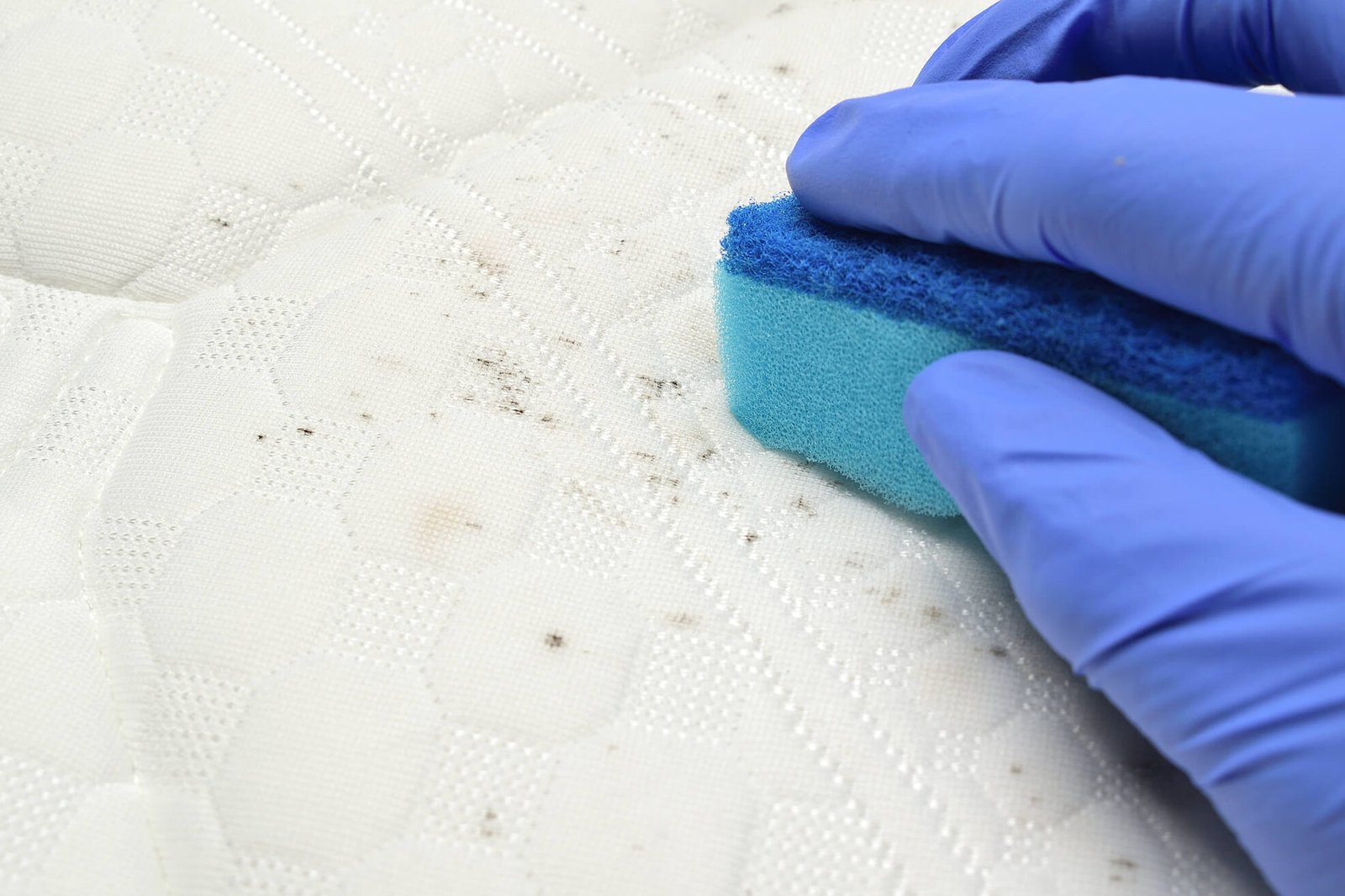 How to clean mold from fabrics?