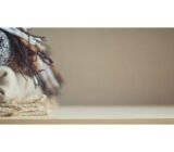 Plaid: what is useful to know to choose