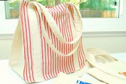 Gradually the project developed and in 2011 it became the "Canvas Bag".